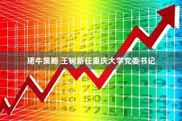 珺牛策略 王树新任重庆大学党委书记