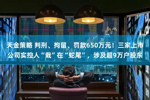 天金策略 判刑、拘留、罚款650万元！三家上市公司实控人“栽”在“蛇尾”，涉及超9万户股东